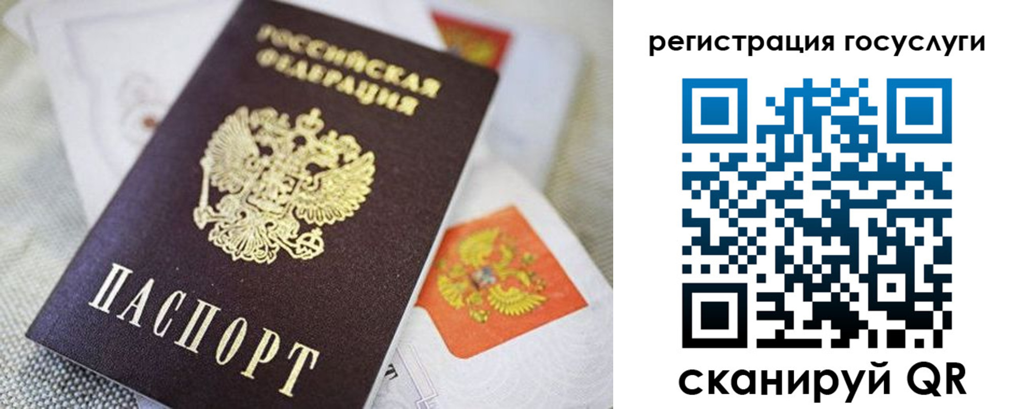 прописка паспорт в Ельце